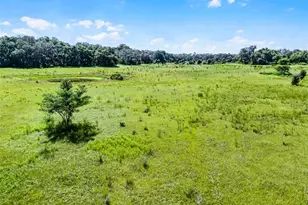 7466 Vivian Ln, Orlando, FL 32818 - Photo 3