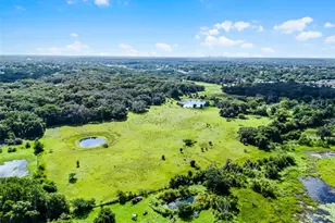 7466 Vivian Ln, Orlando, FL 32818 - Photo 5