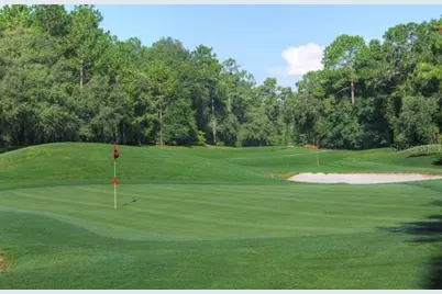 875 E Elston Place, Citrus Springs, FL 34434 - Photo 7