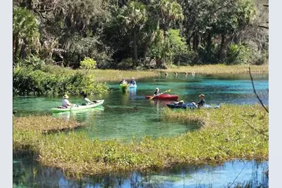 875 E Elston Place, Citrus Springs, FL 34434 - Photo 15