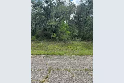 875 E Elston Place, Citrus Springs, FL 34434 - Photo 1