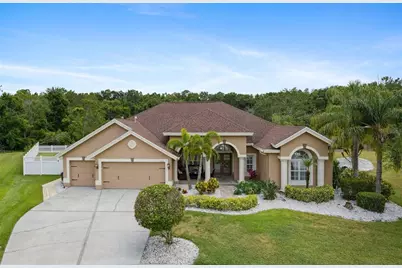 27740 Water Ash Drive, Wesley Chapel, FL 33544 - Photo 1