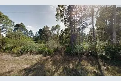 1118 Cove Street E, Lehigh Acres, FL 33974 - Photo 1