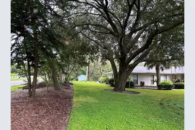 18550 Lake Emma Drive, Groveland, FL 34736 - Photo 17