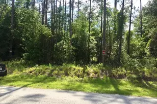 20 & 21 SW Azalea, Dunnellon, FL 34431 - Photo 1