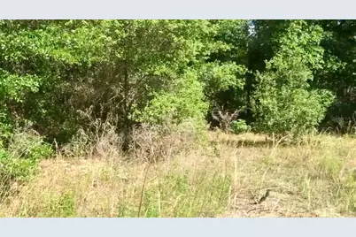 20 & 21 SW Azalea, Dunnellon, FL 34431 - Photo 3