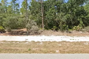 3226 Lake June Blvd, Lake Placid, FL 33852 - Photo 3