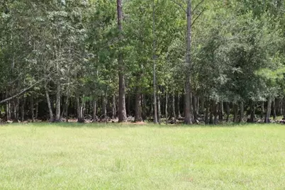 Green Swamp Road, Clermont, FL 34714 - Photo 3