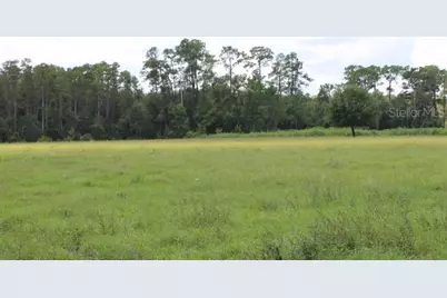 Green Swamp Road, Clermont, FL 34714 - Photo 57