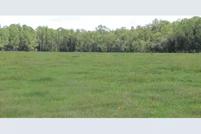 Green Swamp Road, Clermont, FL 34714 - Photo 41