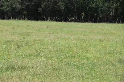Green Swamp Road, Clermont, FL 34714 - Photo 27