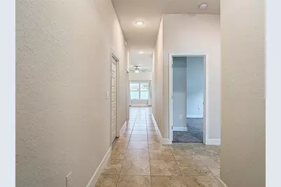 14917 Tropical Violet Way, Wimauma, FL 33598 - Photo 9