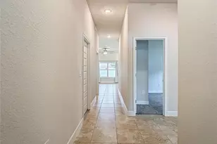 14917 Tropical Violet Wy, Wimauma, FL 33598 - Photo 9