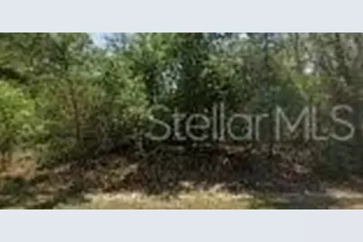 8545 N Wallingford Avenue, Dunnellon, FL 34434 - Photo 1