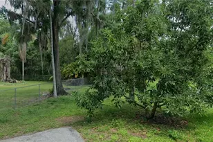 0 2nd Ave NE, Lutz, FL 33549 - Photo 1