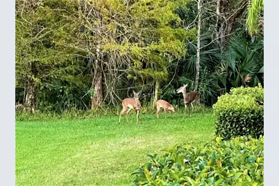 2752 Corvette Lane, Kissimmee, FL 34746 - Photo 51