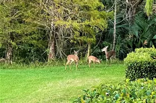 2752 Corvette Ln, Kissimmee, FL 34746 - Photo 51