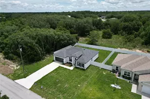 15333 SW 59th Avenue Rd, Ocala, FL 34473 - Photo 3