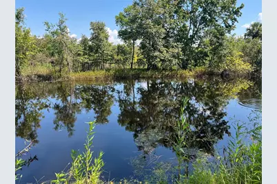 1498 Stone Trail, Enterprise, FL 32725 - Photo 5