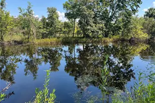 1498 Stone Trail, Enterprise, FL 32725 - Photo 5