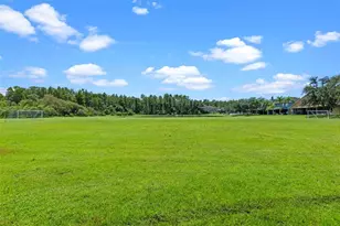 14208 Morning Frost Dr, Orlando, FL 32828 - Photo 49