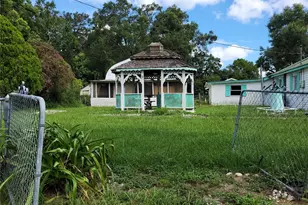 1225 Liberty Ave, Mount Dora, FL 32757 - Photo 23