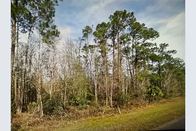 20617 E Colonial Drive, Christmas, FL 32709 - Photo 13