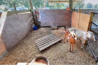 12552 Farmettes Road, Lakeland, FL 33809 - Photo 27