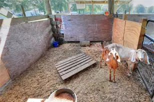 12552 Farmettes Rd, Lakeland, FL 33809 - Photo 27