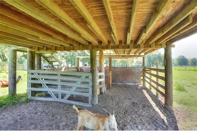 12552 Farmettes Road, Lakeland, FL 33809 - Photo 29