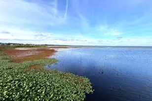 1377 Anchor Bnd Wy, Kissimmee, FL 34746 - Photo 19