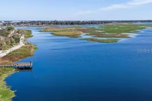 2011 Myrtle Pine St, Kissimmee, FL 34746 - Photo 23