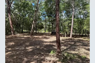 516 Shappell Avenue, Interlachen, FL 32148 - Photo 5