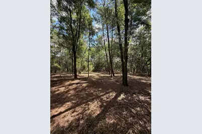 516 Shappell Avenue, Interlachen, FL 32148 - Photo 3