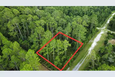 401 Dogwood Avenue, Georgetown, FL 32139 - Photo 1