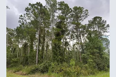 401 Dogwood Avenue, Georgetown, FL 32139 - Photo 3