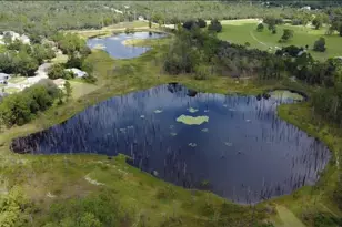 1843 Bonkirk Dr, Deltona, FL 32738 - Photo 5