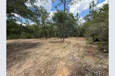 132 Illinois Street, Interlachen, FL 32148 - Photo 3