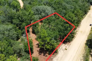 607 Stuart Ave, Interlachen, FL 32148 - Photo 1