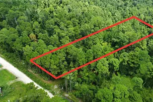 Mallard Rd, Satsuma, FL 32189 - Photo 1