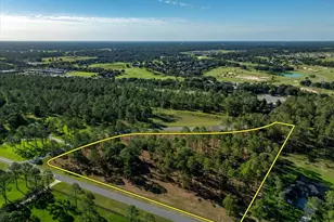 35135 Pinegate Trail, Eustis, FL 32736 - Photo 1