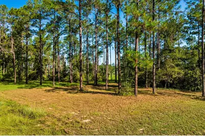 35135 Pinegate Trail, Eustis, FL 32736 - Photo 11