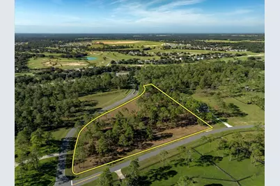 35135 Pinegate Trail, Eustis, FL 32736 - Photo 5