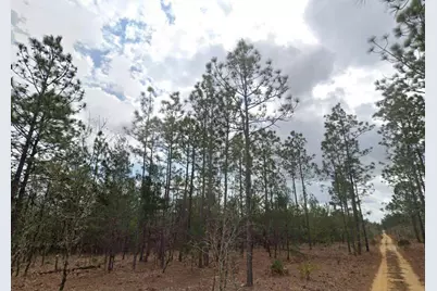 Lime Way, Interlachen, FL 32148 - Photo 1