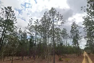 Lime Way, Interlachen, FL 32148 - Photo 1