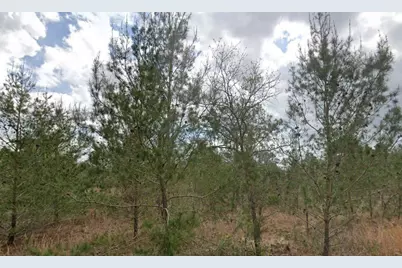 Lime Way, Interlachen, FL 32148 - Photo 3