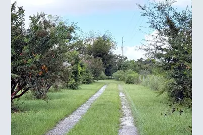 6896 Cr 619, Bushnell, FL 33513 - Photo 3