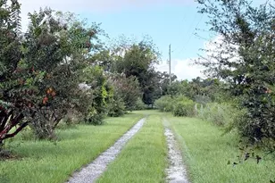 6896 Cr 619, Bushnell, FL 33513 - Photo 3