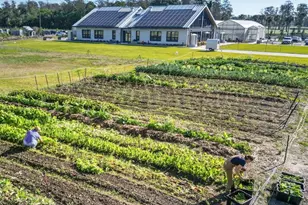 2269 Valentine Aly, Orlando, FL 32804 - Photo 31