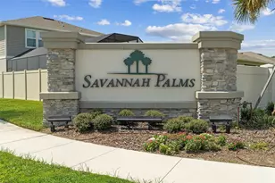 1009 Savannah Palms Blvd, Orlando, FL 32828 - Photo 39